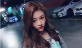 近期网红爆料视频大全集,揭秘网络热点背后的真相与争议