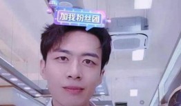 程龙前女友爆料视频播放,揭秘昔日恋情内幕